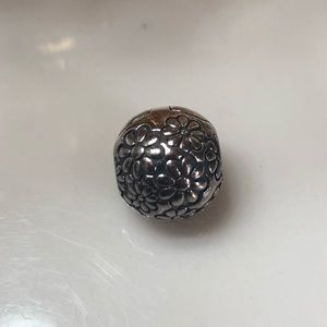 Pandora charm